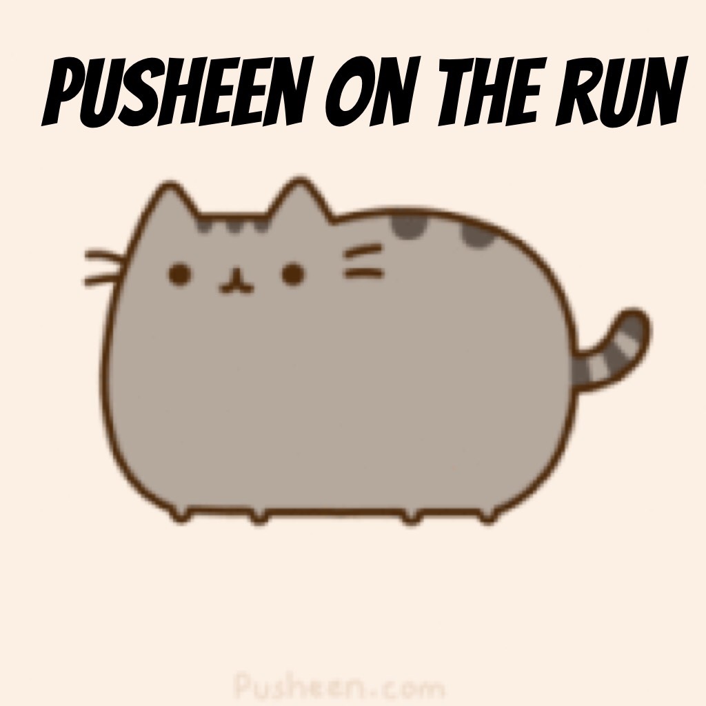 Pusheen on the run