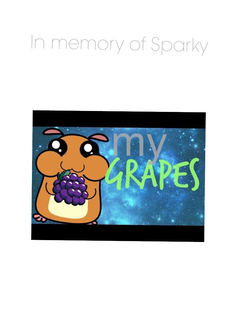 In memory of Sparky