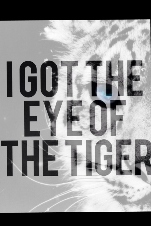 'I got the eye of the tiger'
