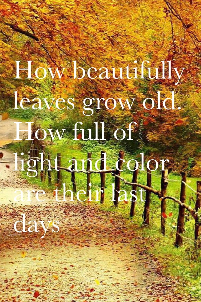 How beautifully leaves grow old. How full of light and color are their last days