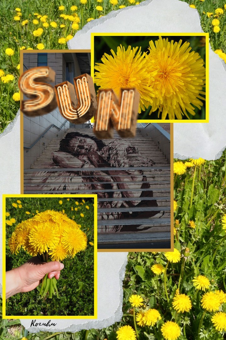 Got feeling for a collage by these small balls of sunshine, how happy the sight of them made me today 🌞🌻🌞🌻😎👍