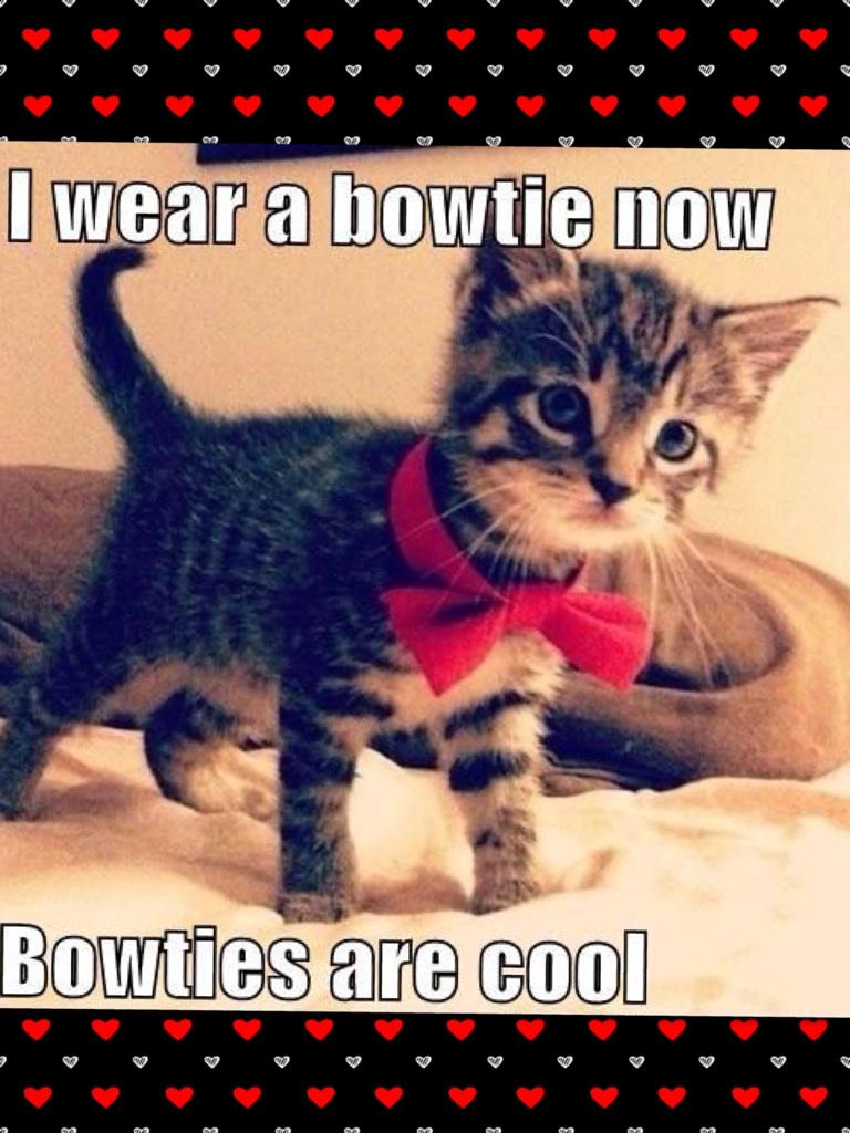 Bowties are always cool