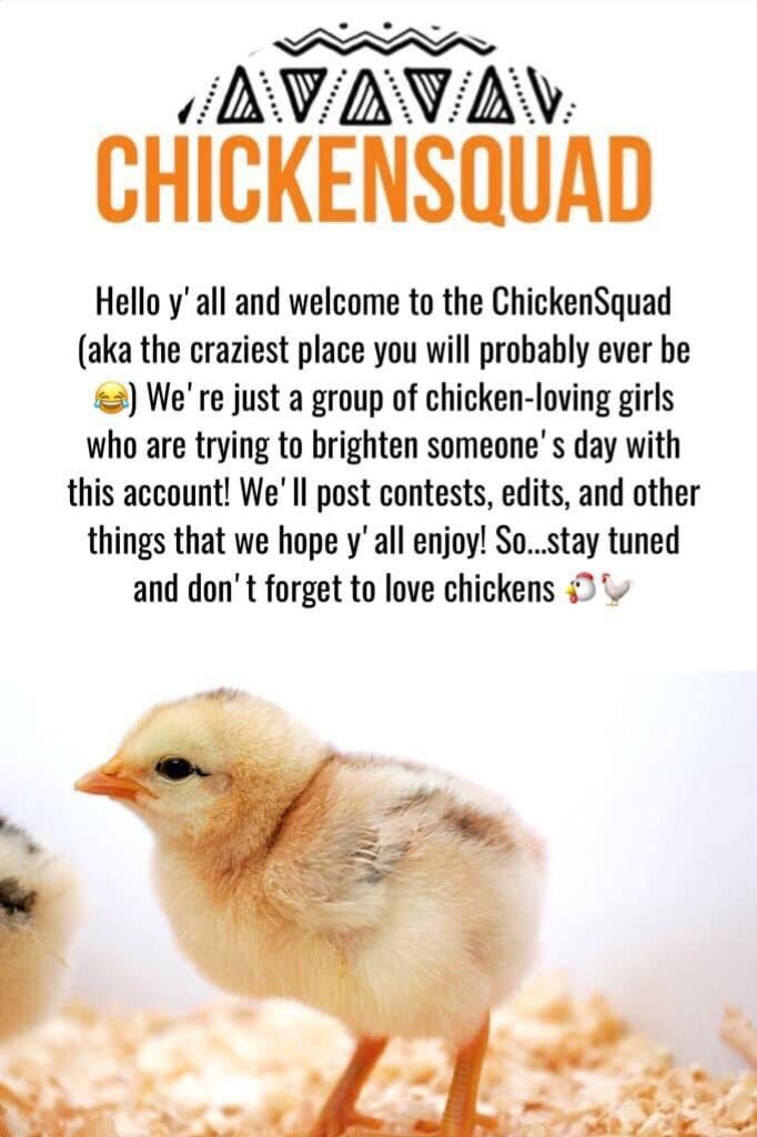 First post of the ChickenSquad! 🐔TAP🐔
Hey! We're just three girls who want to make y'all smile! Sign up sheets and more coming soon! REMEMBER TO LOVE CHICKENS 😂 