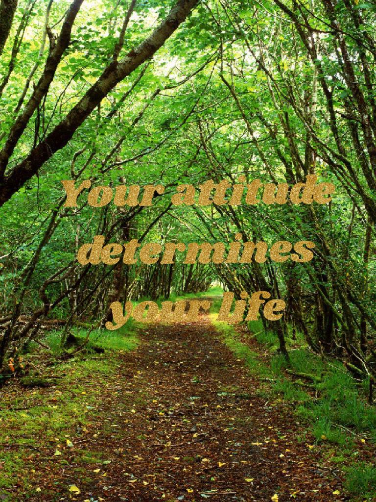 Your attitude determines your life 