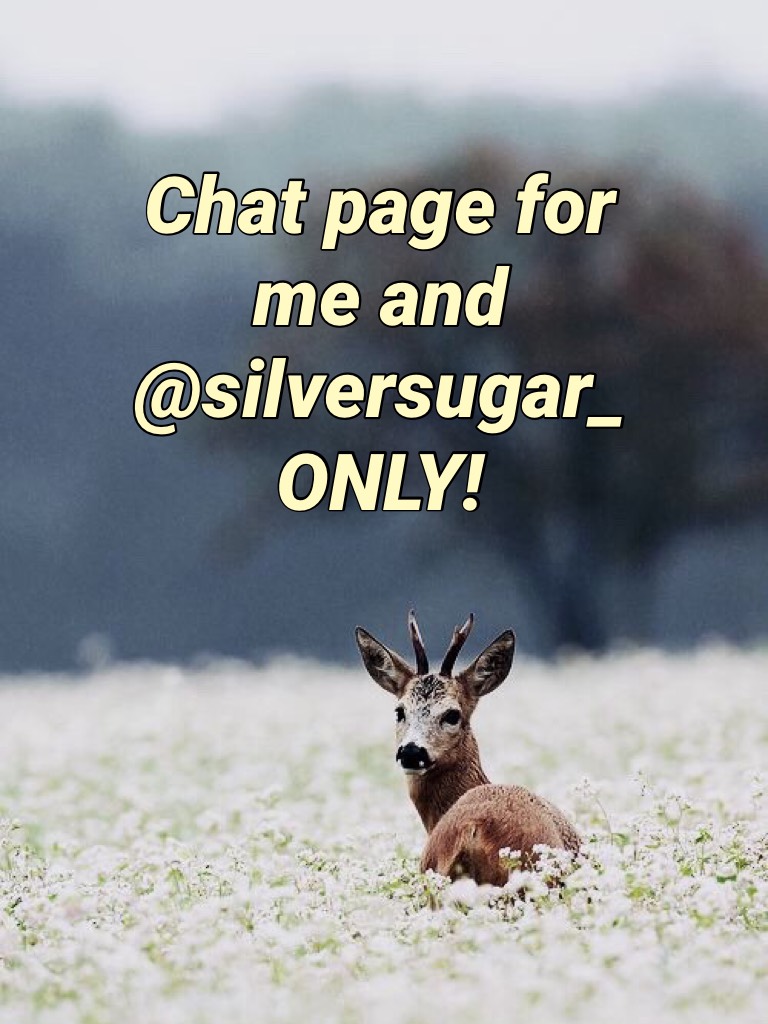 Chat page for me and @silversugar_ ONLY!