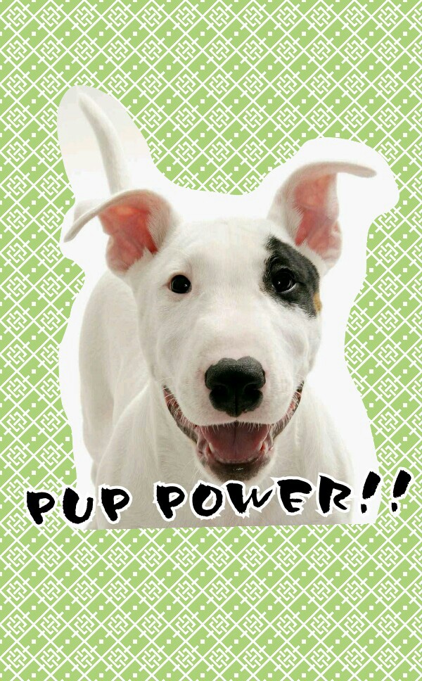 PUP POWER!!