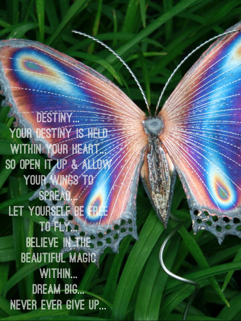 Destiny... 
your destiny is held within your heart...
So open it up & allow your wings to spread... 
Let yourself be free to fly... 
Believe in the beautiful magic within... 
Dream big... 
Never ever give up...