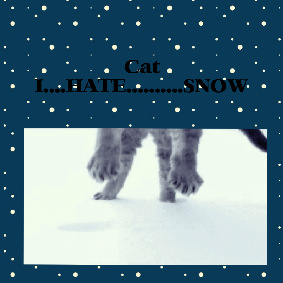 Cat: I....HATE..........SNOW! Hahahaha