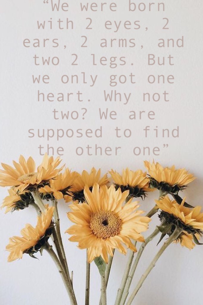 “We were born with 2 eyes, 2 ears, 2 arms, and two 2 legs. But we only got one heart. Why not two? We are supposed to find the other one”