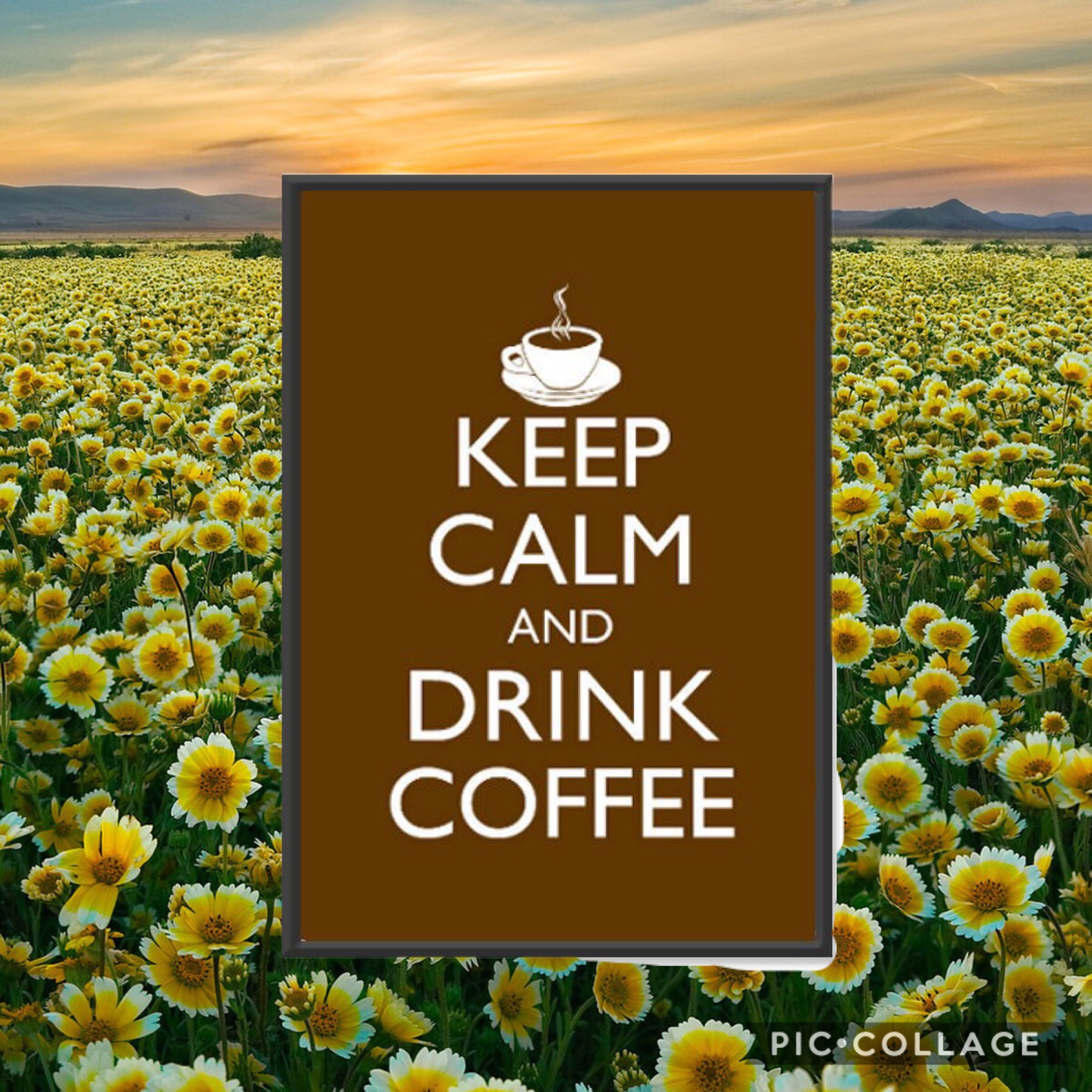 Keep calm and drink coffee ☕️!!!!!!