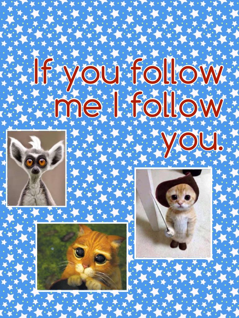If you follow me I follow you.