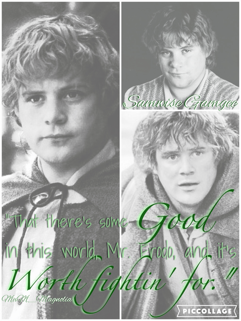 📚Tap📚
Fandom Challenge Day #6: Character you'd want as a brother: Samwise Gamgee. Credit to: @LivinLifeInMovies for the challenge. #featuremyfandom 
Sorry I haven't posted in a few days, guys! I'm back now😊