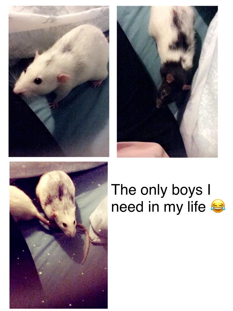 The only boys I need in my life 😂