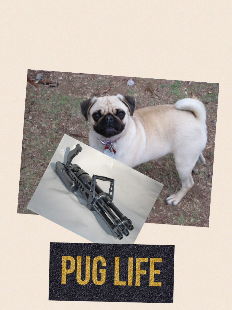 Pug life