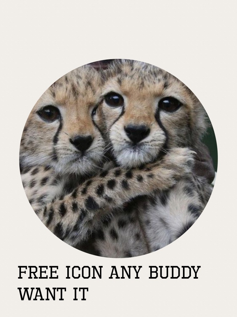 Free icon any buddy want it