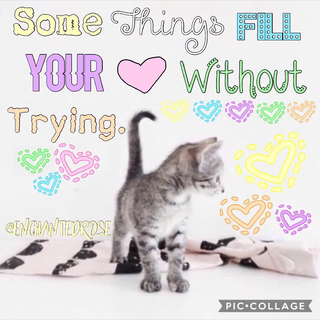 🐱Tap🐱
I've decided to use Phonto for all of my collages!!! What do u guys think of this one? Credit to @_SemiSweet_ for the photo. Rate 1-10