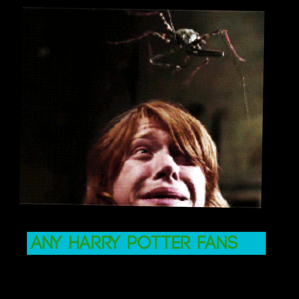 Any Harry Potter fans