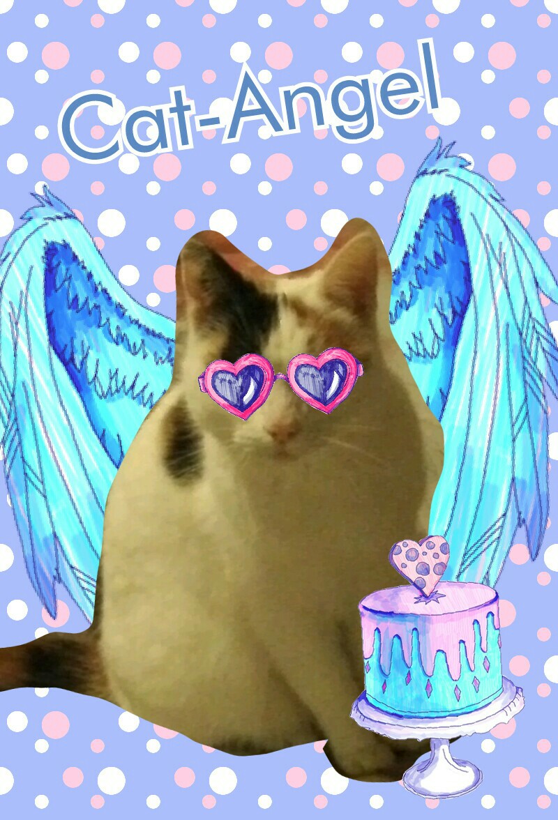 Cat-Angel 
