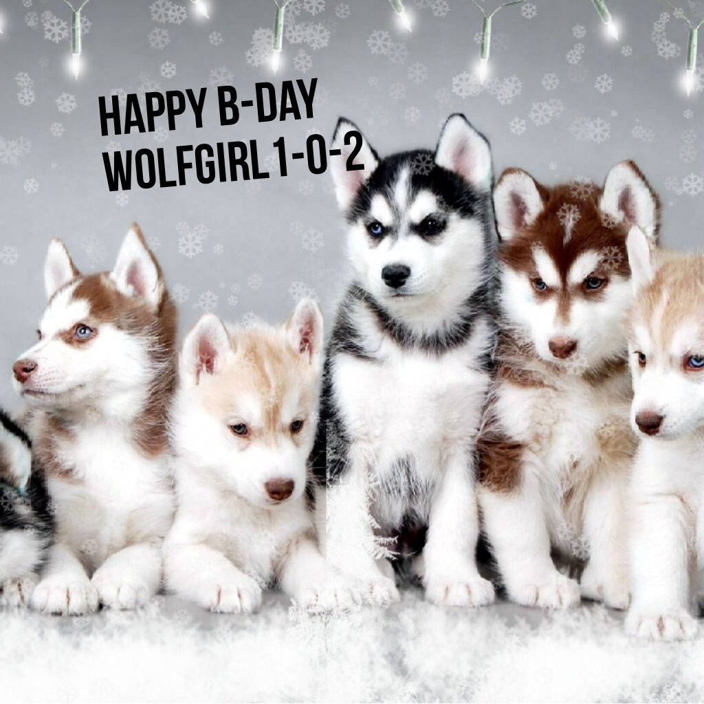 Happy B-day wolf-girl-1-0-2