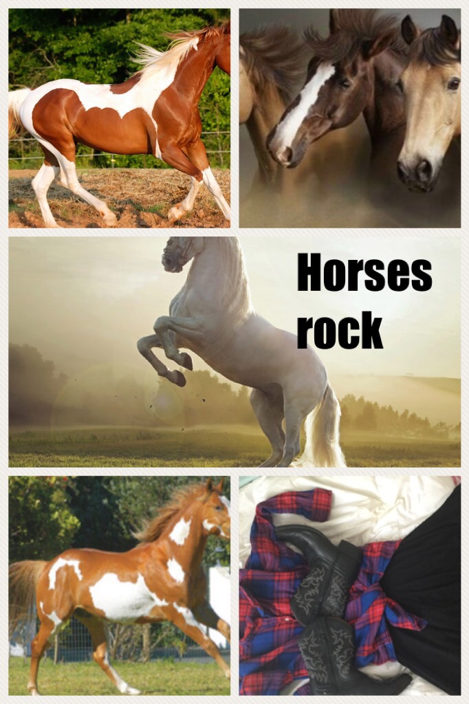 Horses rock 