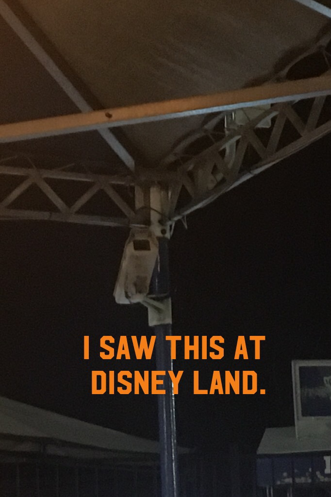 I saw this at Disney land. 