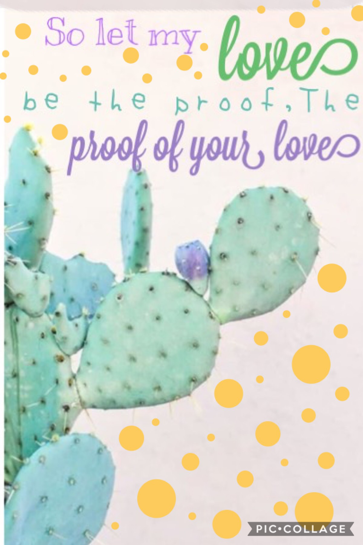 “Proof of Your Love” a wonderful Christian song!! ✝️ Guess what!! I finally figured out how to use Phonto!! Special thanks to The_Divergent-Tribute and Hopeful_Editor14 for helping me!! ✨😆🎊🎈I will be yawing PC fonts and Phonto fonts now!!👍🏼