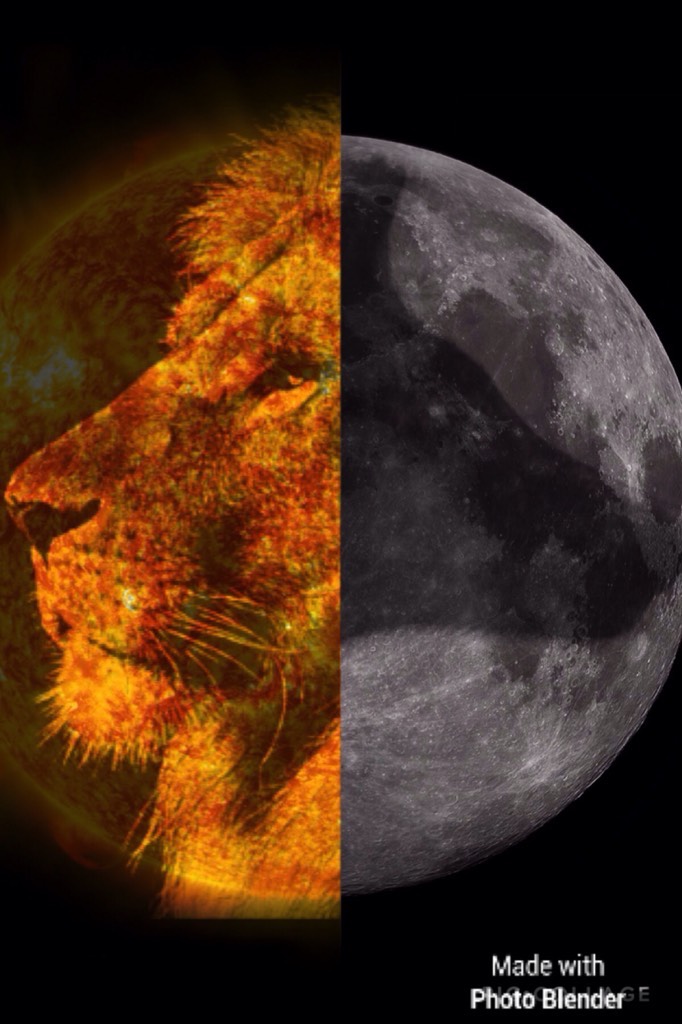 A male lion against the sun is on the left, and a black wolf against the moon is on the right. 🌞🌚