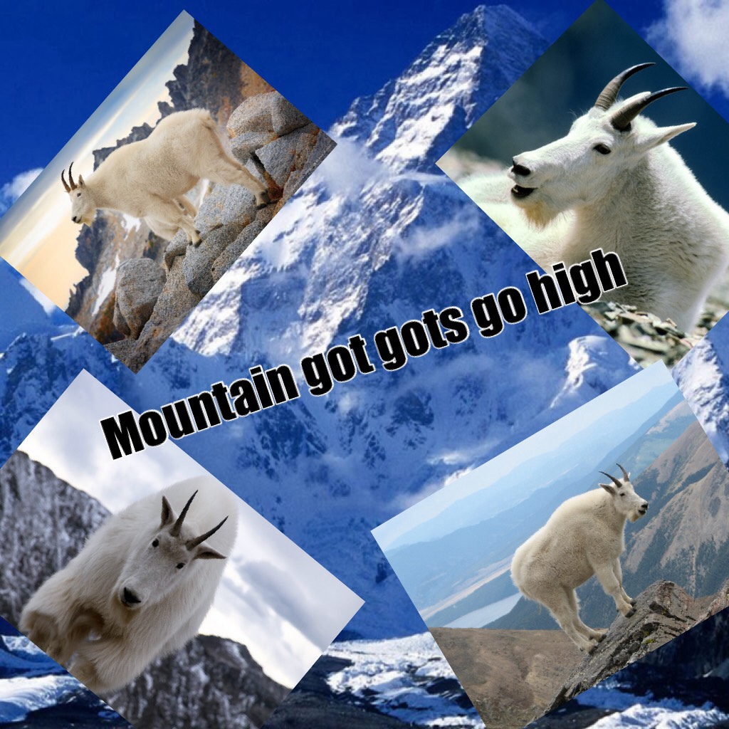Mountain got gots go high
It's real