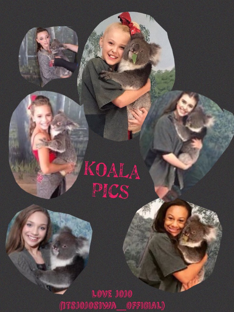 Koala pics
🐨🐨🐨🐨🐨🐨🐨🐨🐨🐨🐨🐨🐨🐨🐨