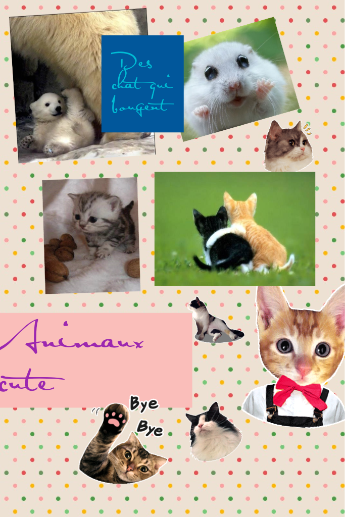 Animaux cute