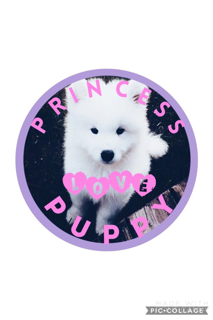 princess puppy love icon
