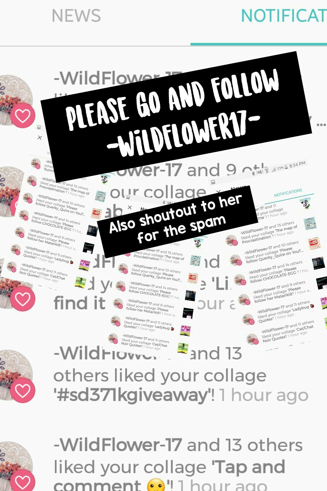 Please go and follow -Wildflower17-
