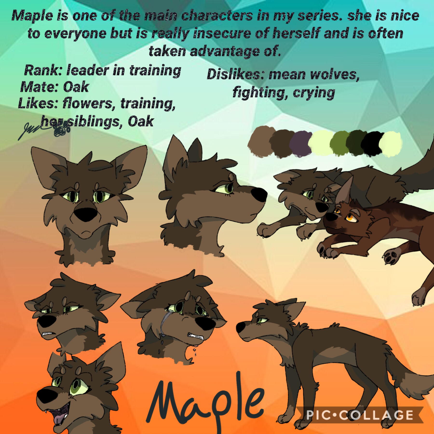 Maple 💚🧡