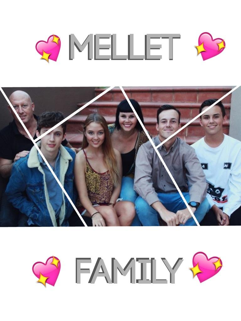 SUCH A GORGEOUS FAMILY THE MELLETS ARE