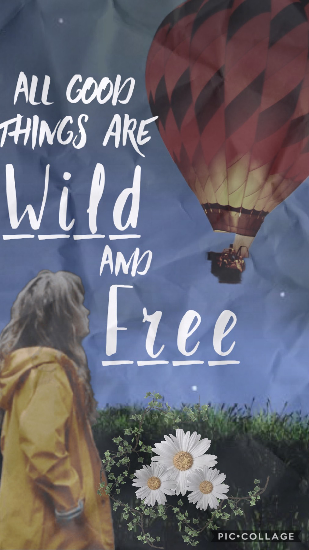 Wild and Free: now and furthermore 