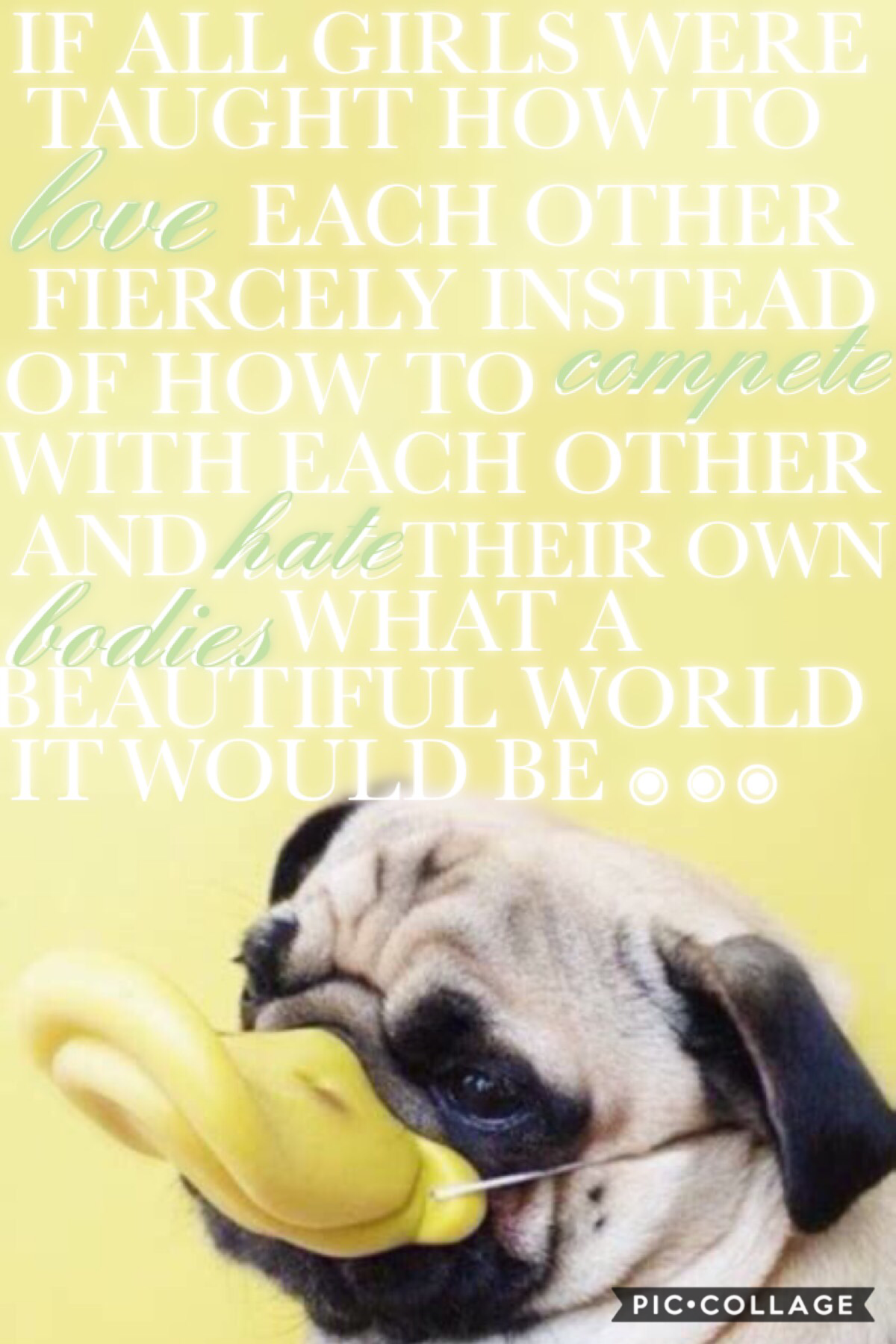 Inspired by the beautiful @abstract!! I love this quote sooo much omg 💗💗 and the pug is adorable !!





