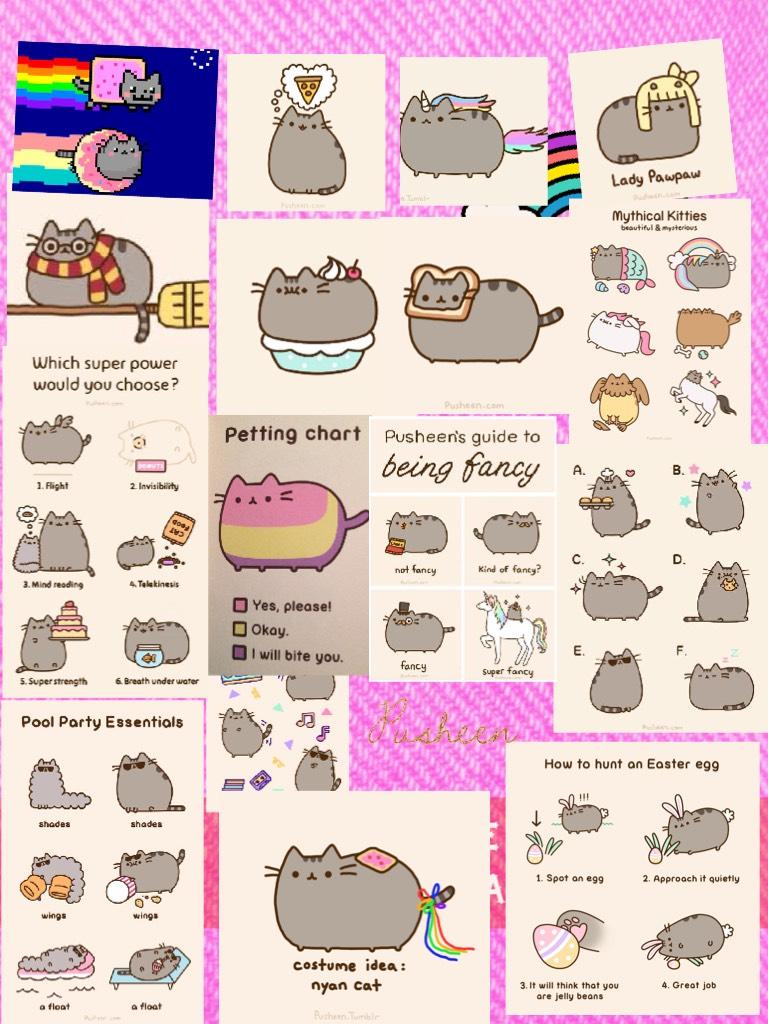 Pusheen is awesome