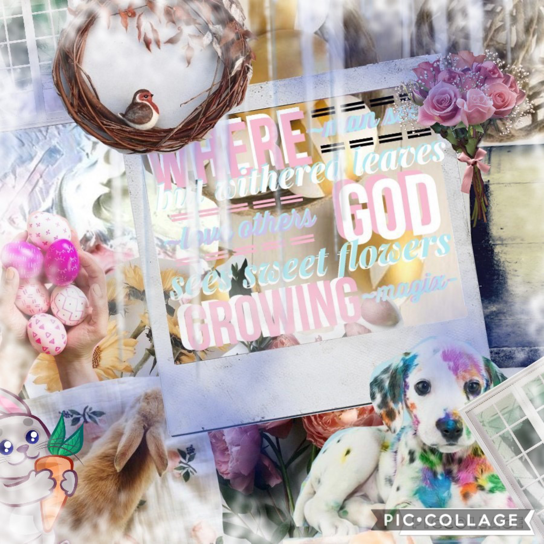 Woo hii this is so bad but whatever um very late Easter post happy Easter and Earth day and ANZAC day luv u guys 25.04 I am crazy woo I’m with my friend -NEON_L1FE- and we’re having a blast woo 😂🙈👍📖🎥👙💕📲💩💩🥰🍟🤤🍔❤️😅🐵🐵😆🤞🥳😉😉📱😢👻🙊🙉🎶⌚️🔌👋🥳🤦‍♀️
