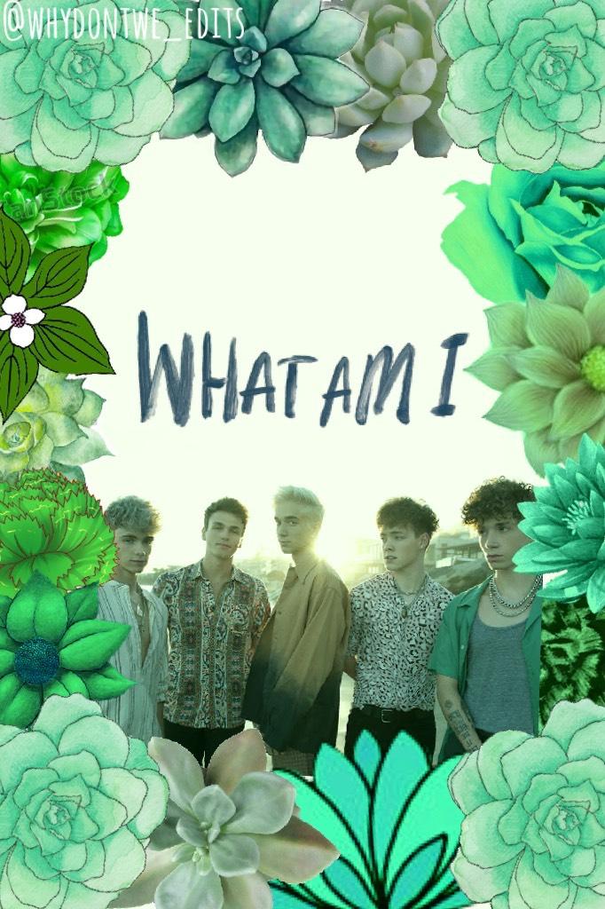 This took so long and idkw I hadn't made a #what am I edit all ready