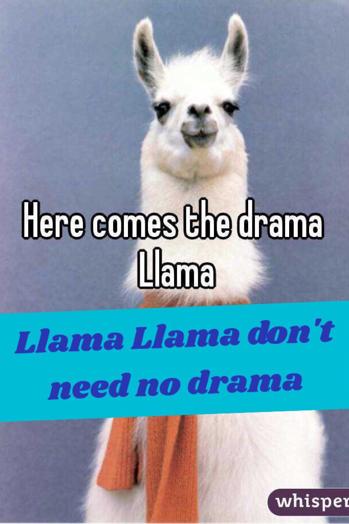 Llama Llama don't need no drama