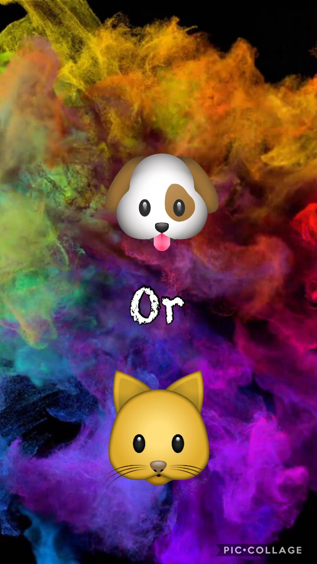Like if ya love cats 😻😻😻
Comment if mad about dogs 🐶 
