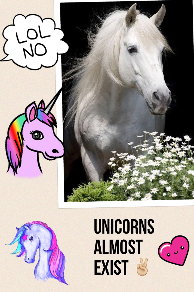 Unicorns almost exist ✌🏼️