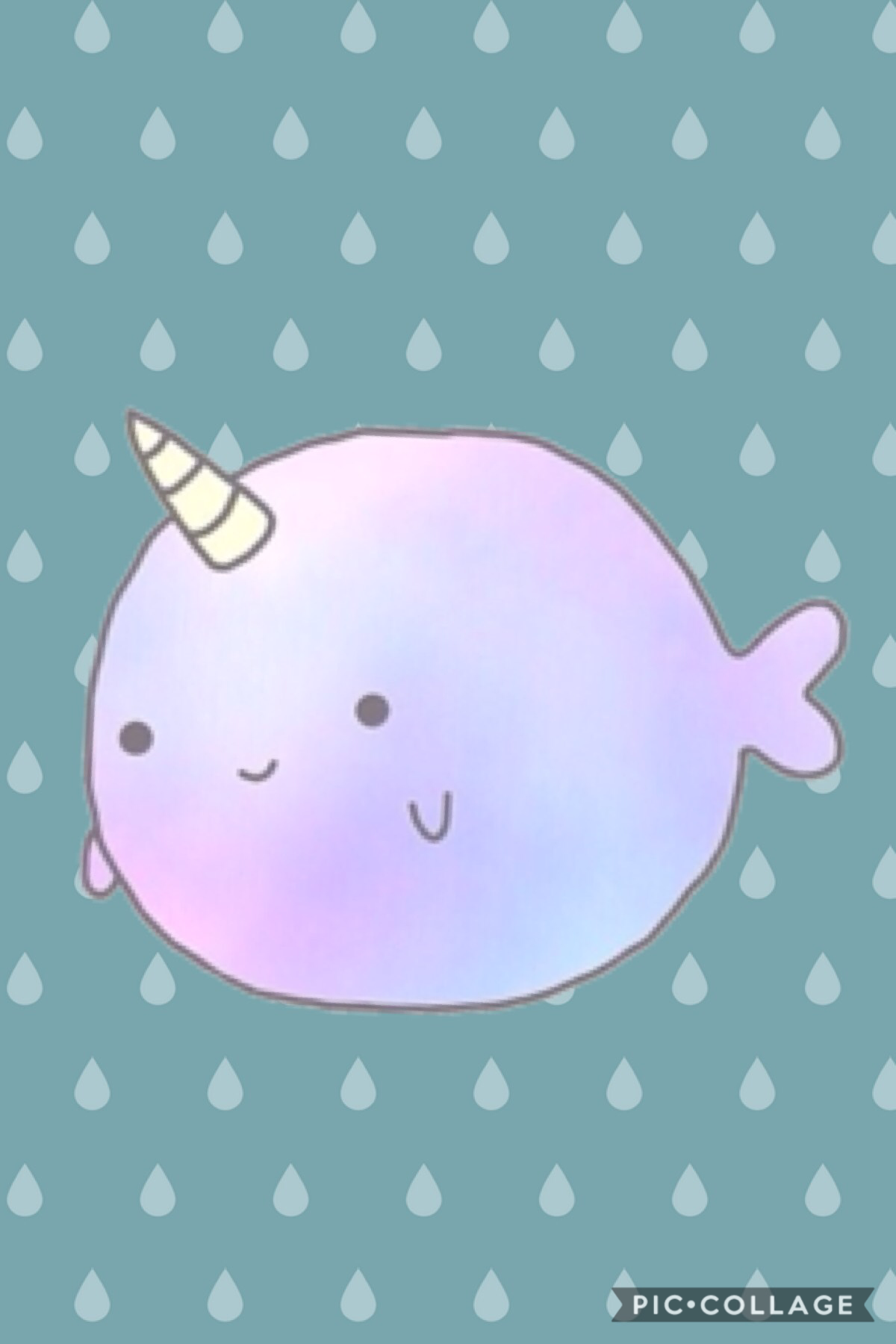 NOT SO NARWALS’!! UNICORN OF THE SEA!!!