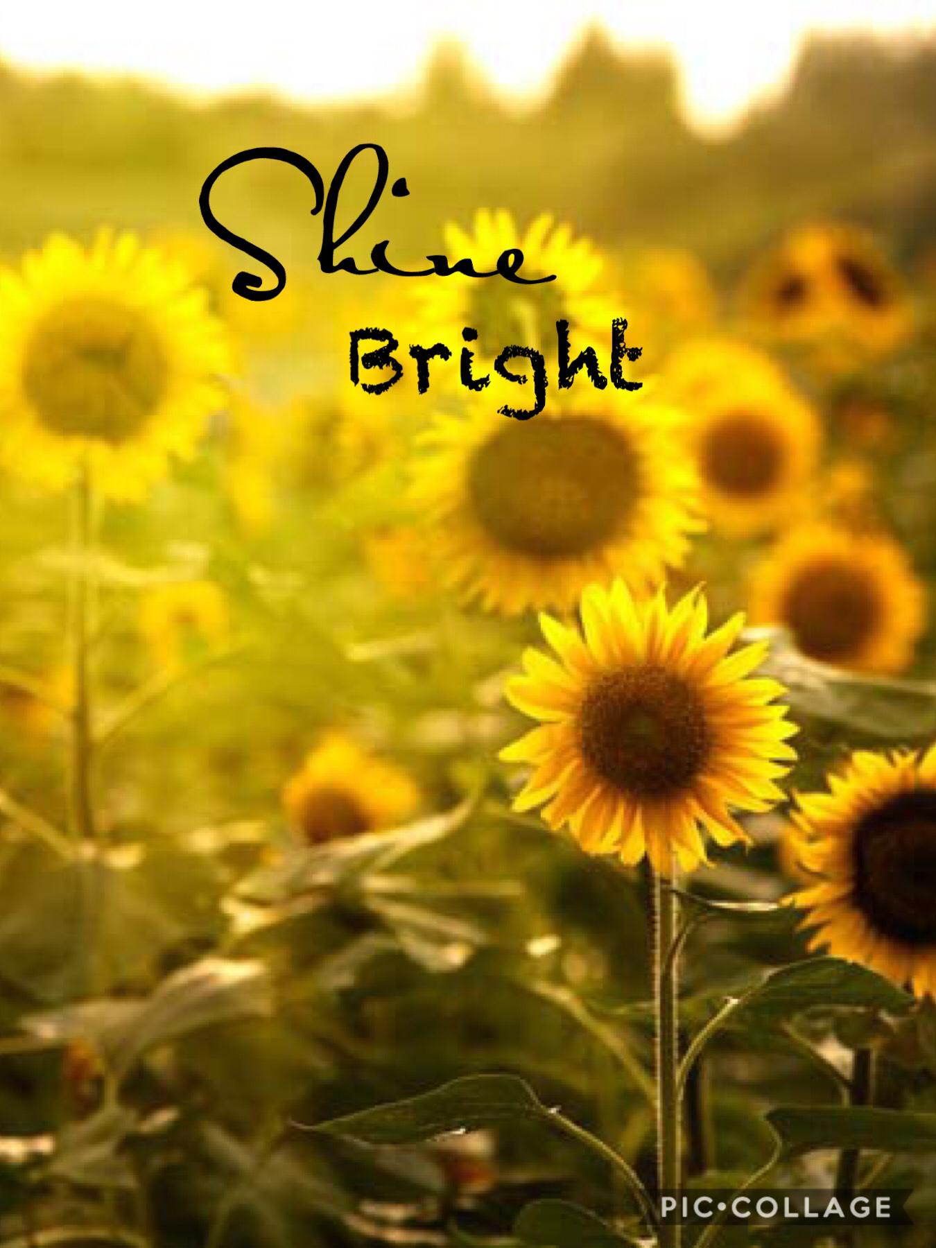 Shine bright!!!!🌻✨