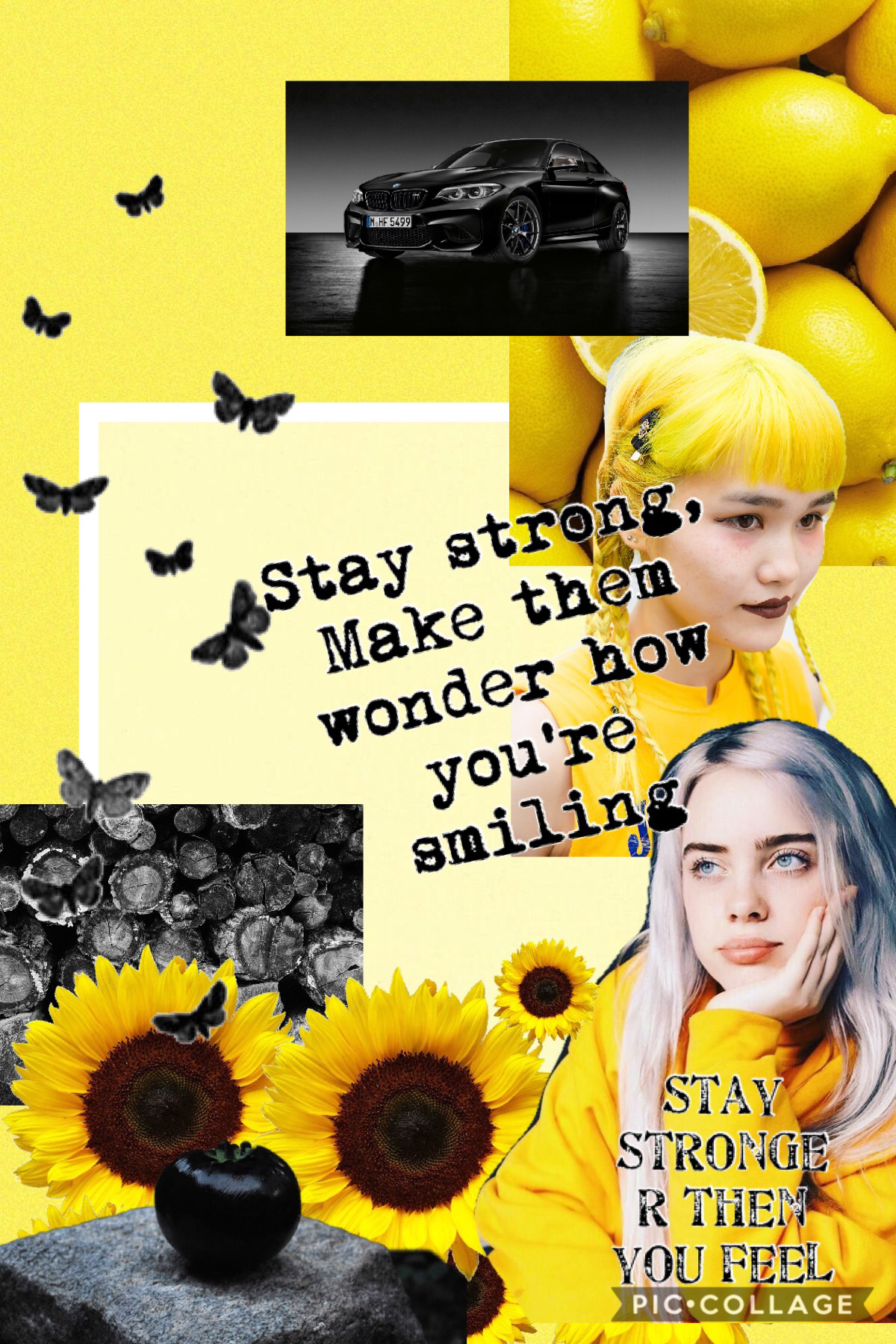 Collage by sunflowersintherain19