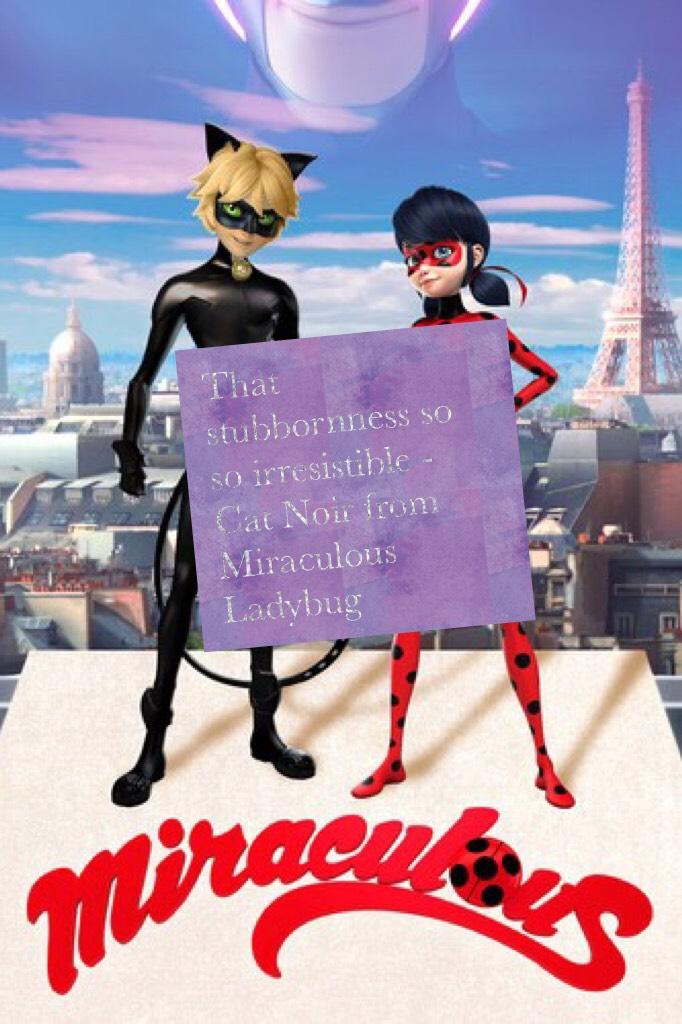 That stubbornness so so irresistible - Cat Noir from Miraculous Ladybug 