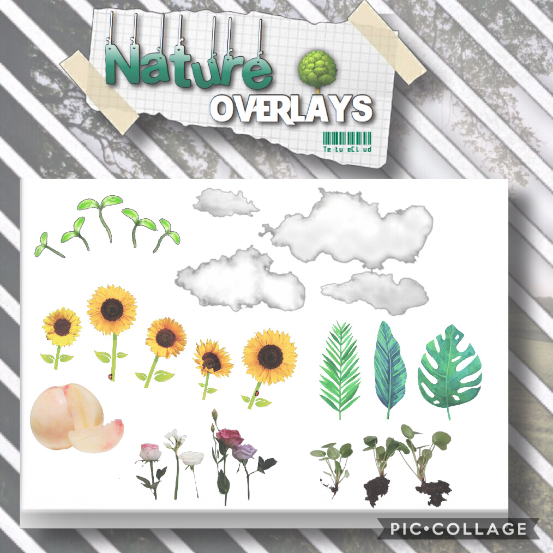 🌿Nature Overlays🌿

I love themed stickers and overlays, but it took me a while to be confident using them (e.g. cropping, erasing background etc.) would anyone like a tutorial on how to edit and use packs like this? Let me know in the comments!🌿