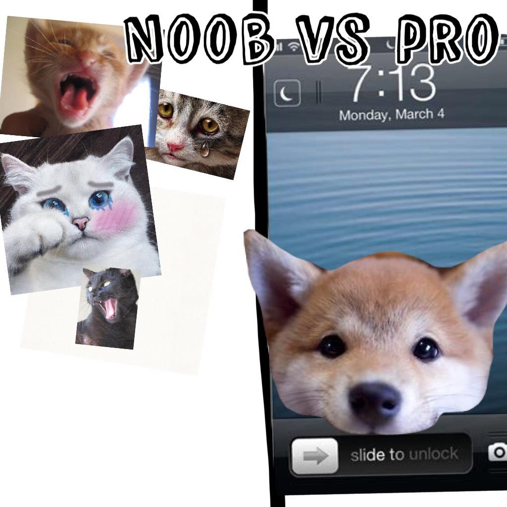 Noob vs pro!Didnt want offended noobs