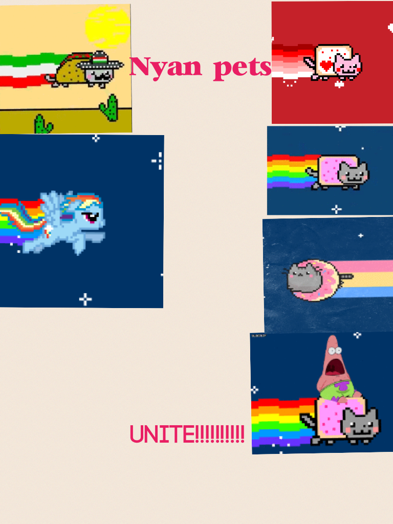 Nyan universe