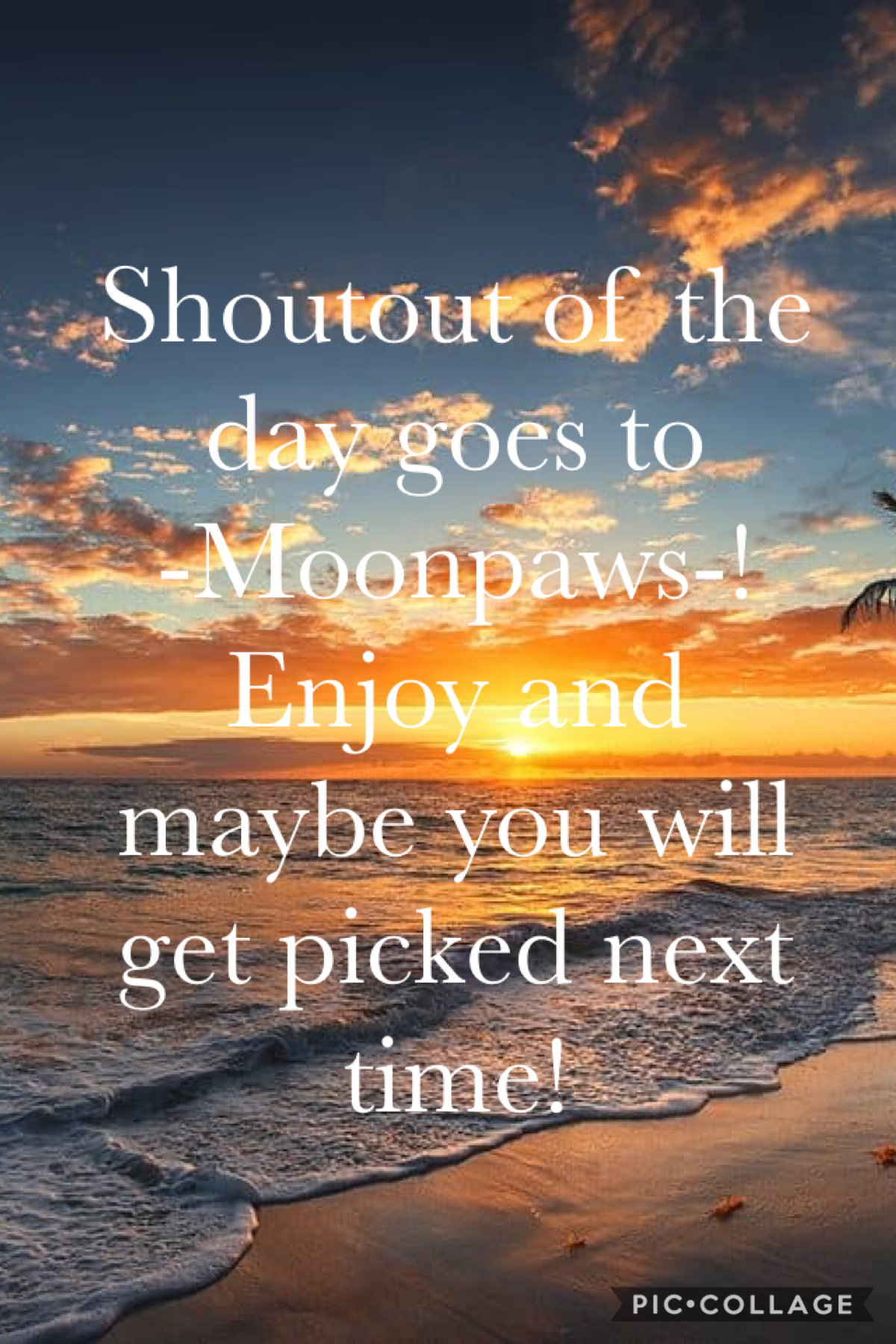 Shoutout goes to @-MoonPaws- have fun and stay safe everyone x ❤️❤️ <3